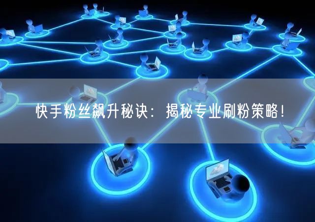 快手粉丝飙升秘诀：揭秘专业刷粉策略！