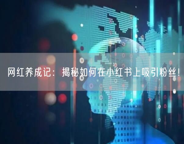 网红养成记：揭秘如何在小红书上吸引粉丝！