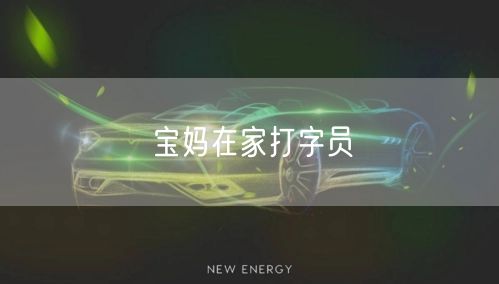 宝妈在家打字员